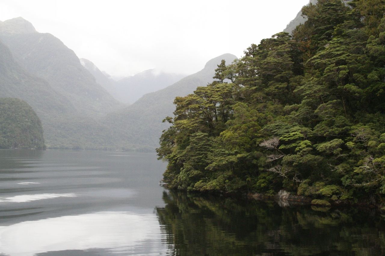 Doubtful Sound – Doubtful Sound - View 01