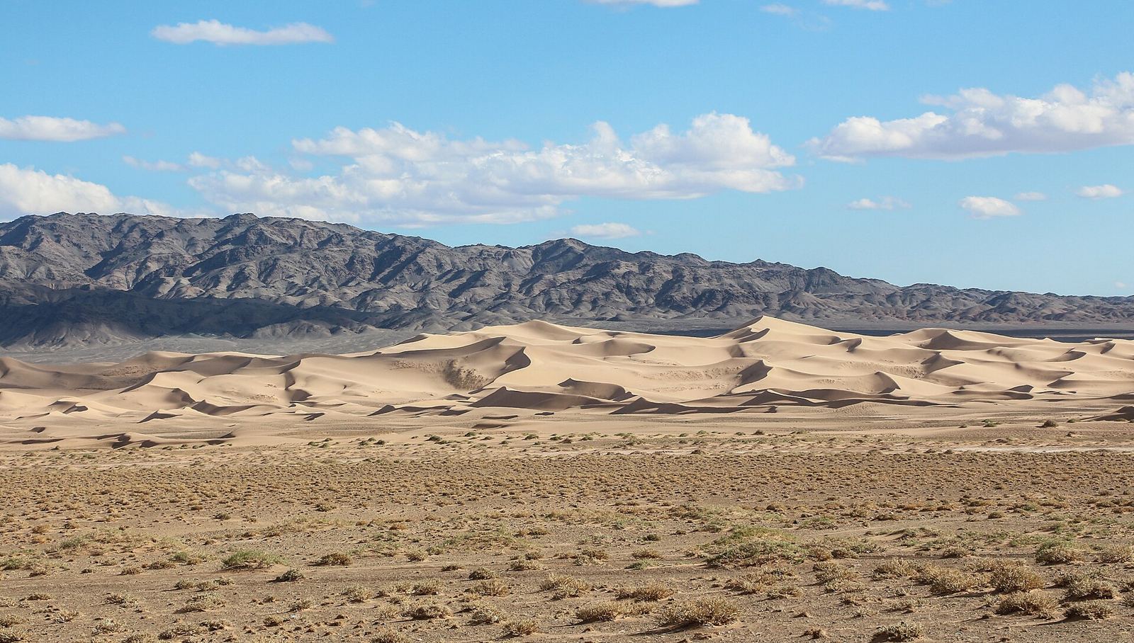 Khongoryn Els – Khongoryn Els 02