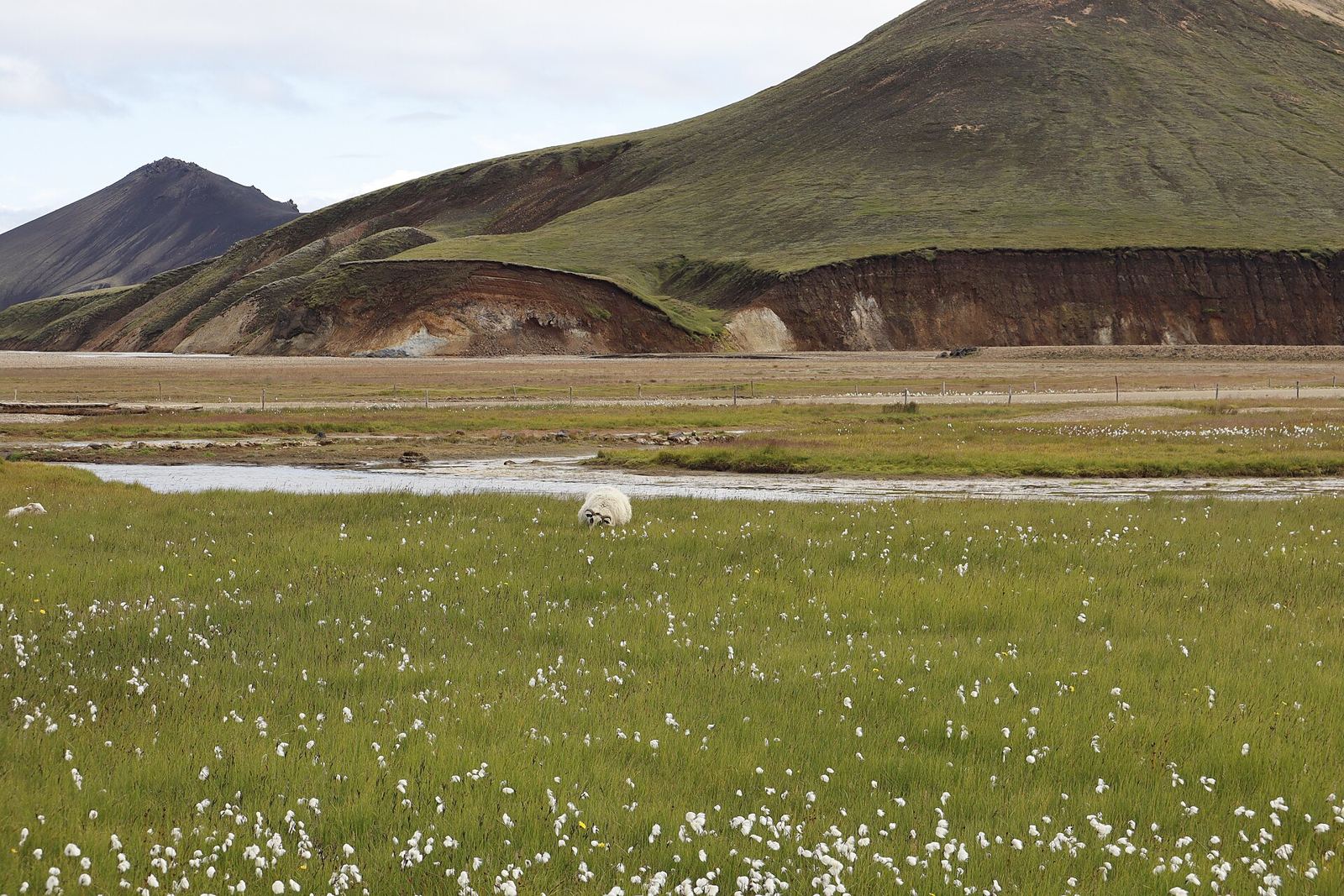 Landmannalaugar – Landmannalaugar 02