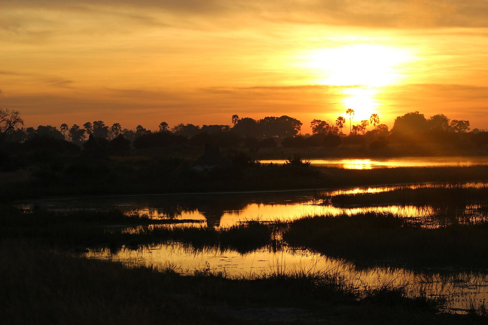 Okavango Delta – Okavango-delta-sunrise-april-2025