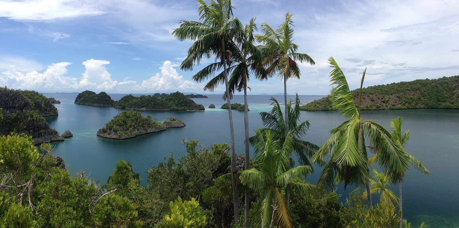 Raja Ampat – Raja Ampat - 14183151322