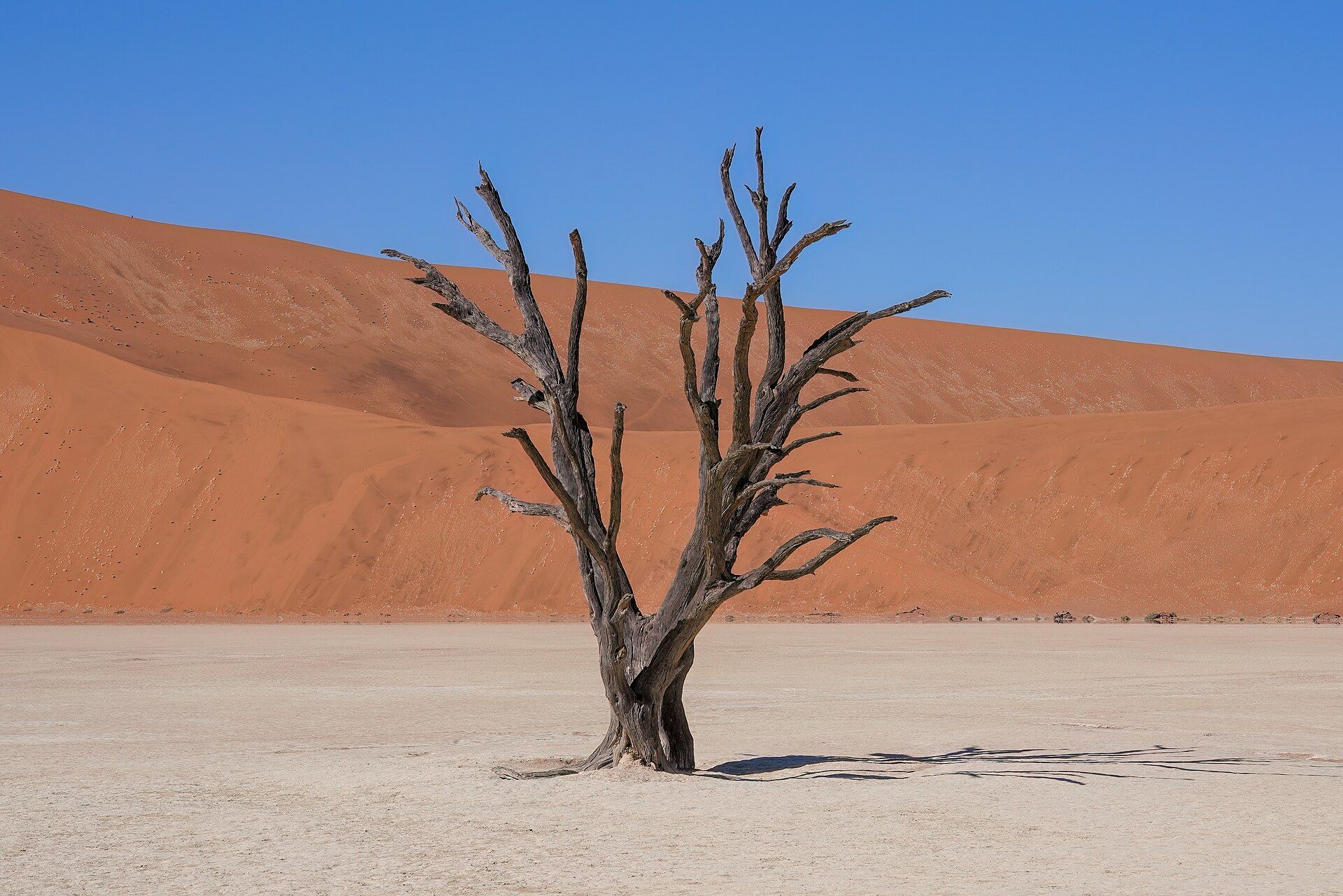 Sossusvlei & Deadvlei, Namibia